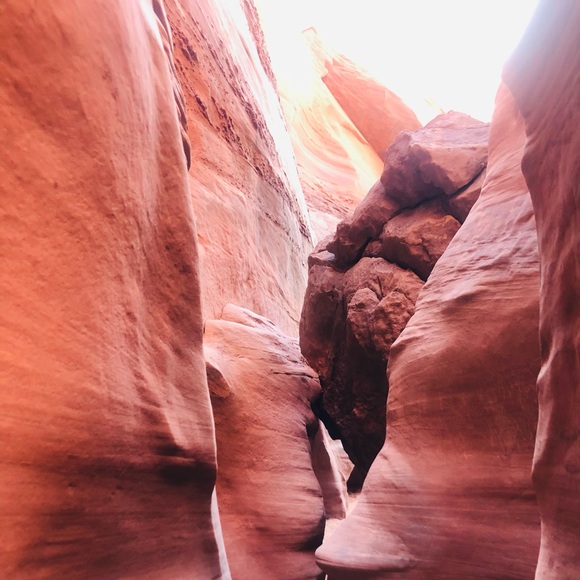 🌼Welcome to Velvet Yucca Vintage🌼 - Picture 4 of 9